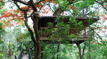 experience encountersasia