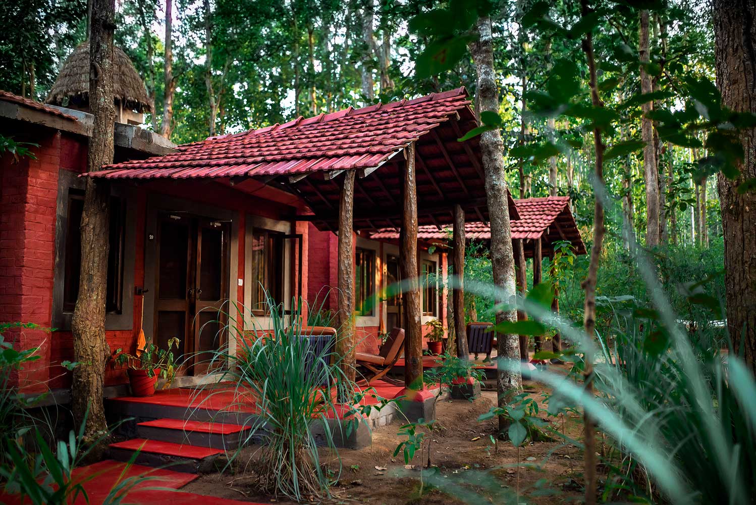 Kanha-Jungle-Lodge-img2