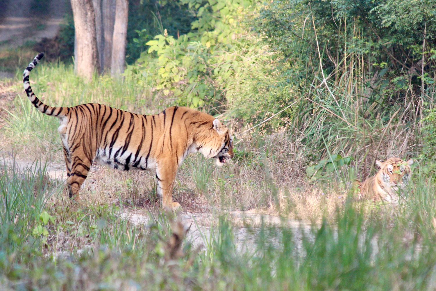 12B42B43-3FCF-47E7-B825-86EEE56464FF_1_201_a