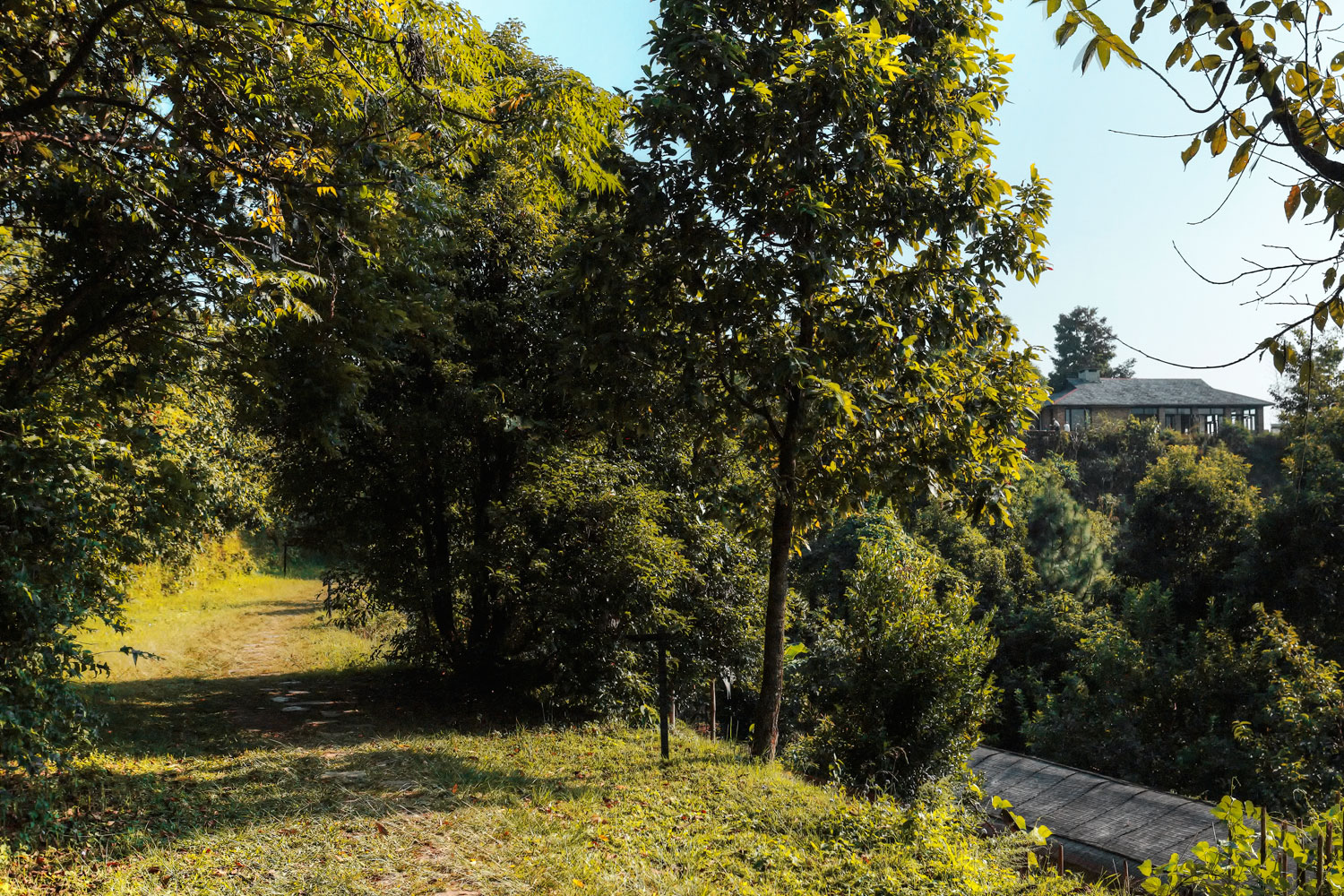 Views---Path-to-rooms-1