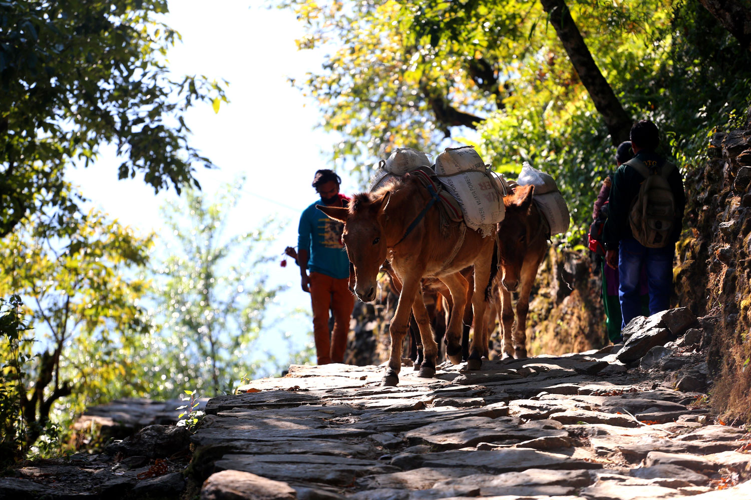 Birethanti-Trail-(1)