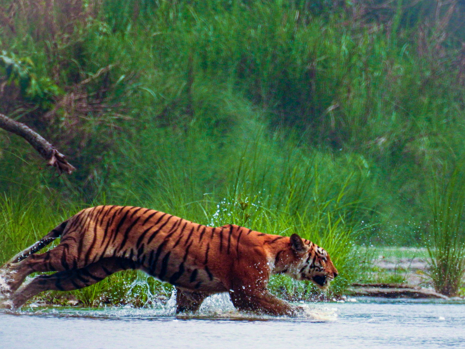 CLICKED-BY-ALINA-CHAUDHARY