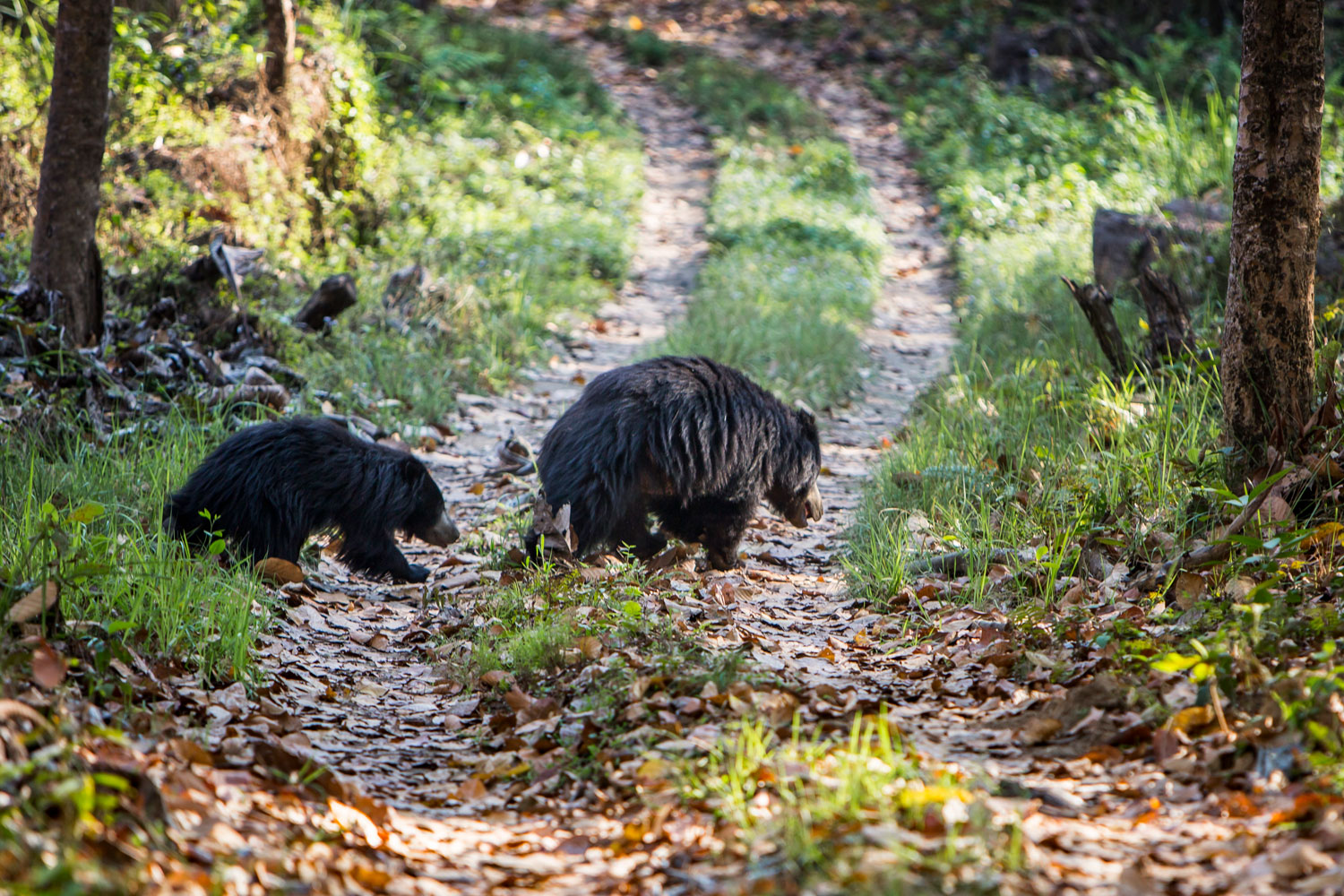 SAFARIS-&-WILDLIFE-VIEWING-14---3x2