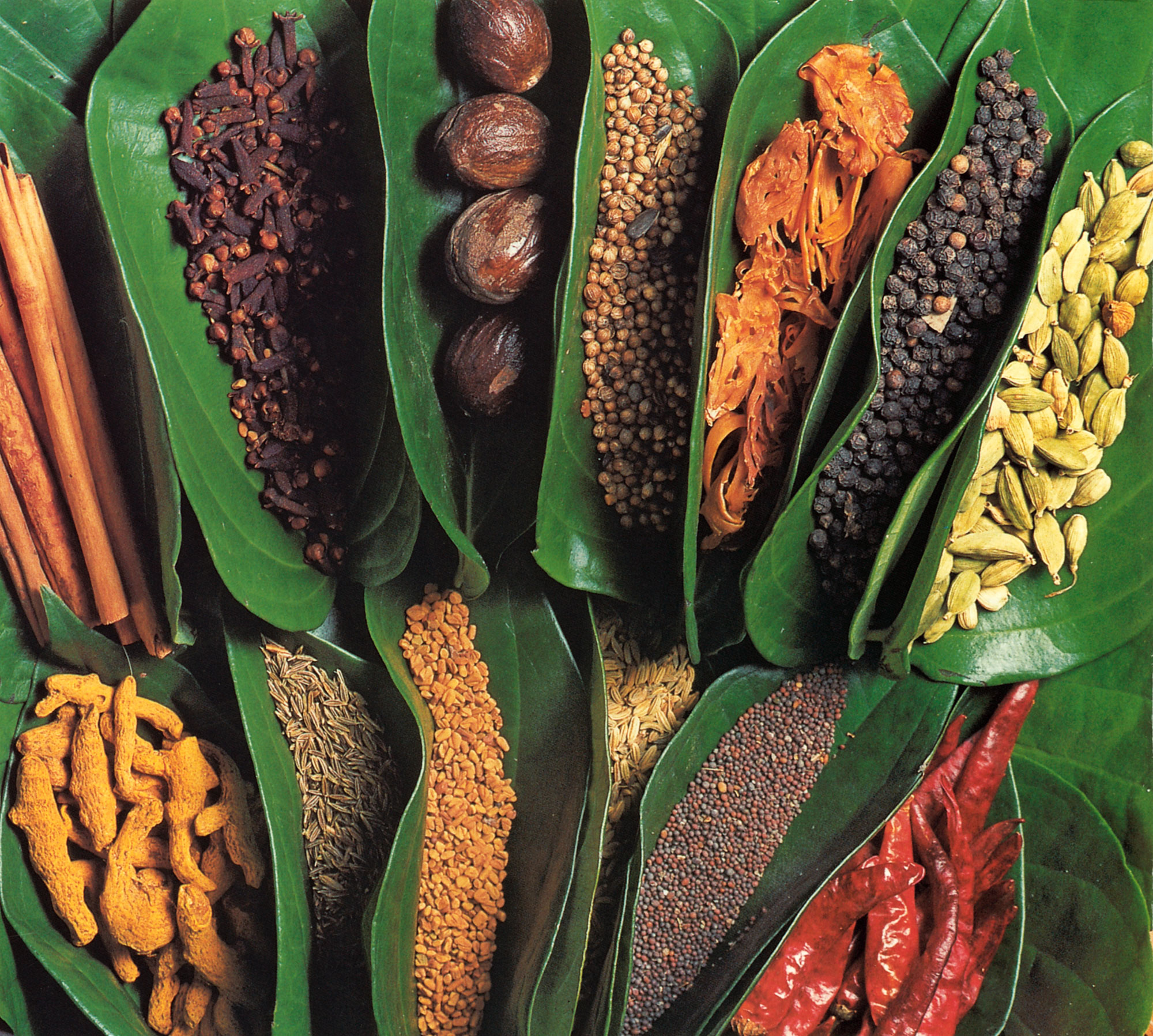 Sri-Lankan-Spices-02