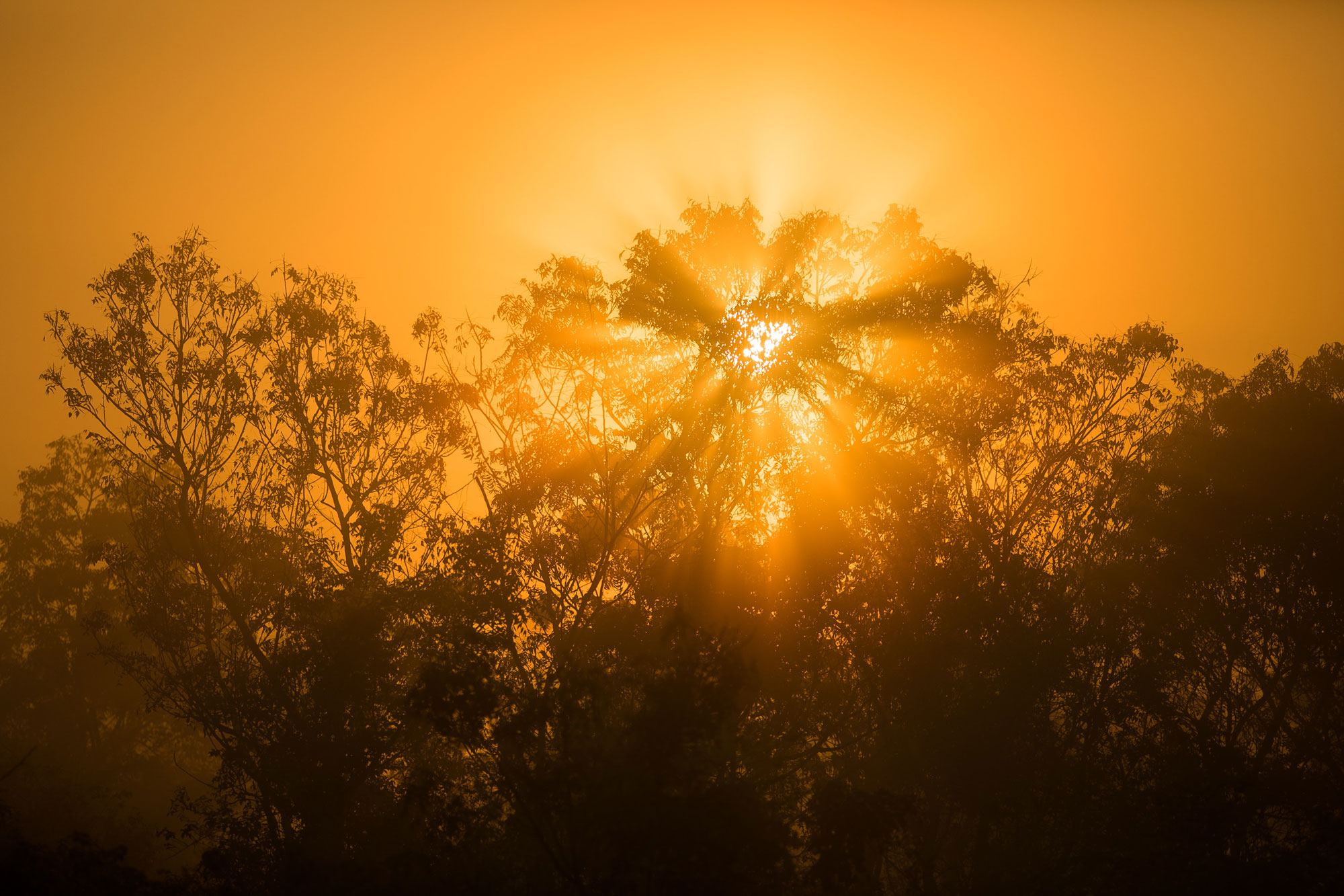 egle-sidaraviciute-o89KeB4Gzwk-unsplash