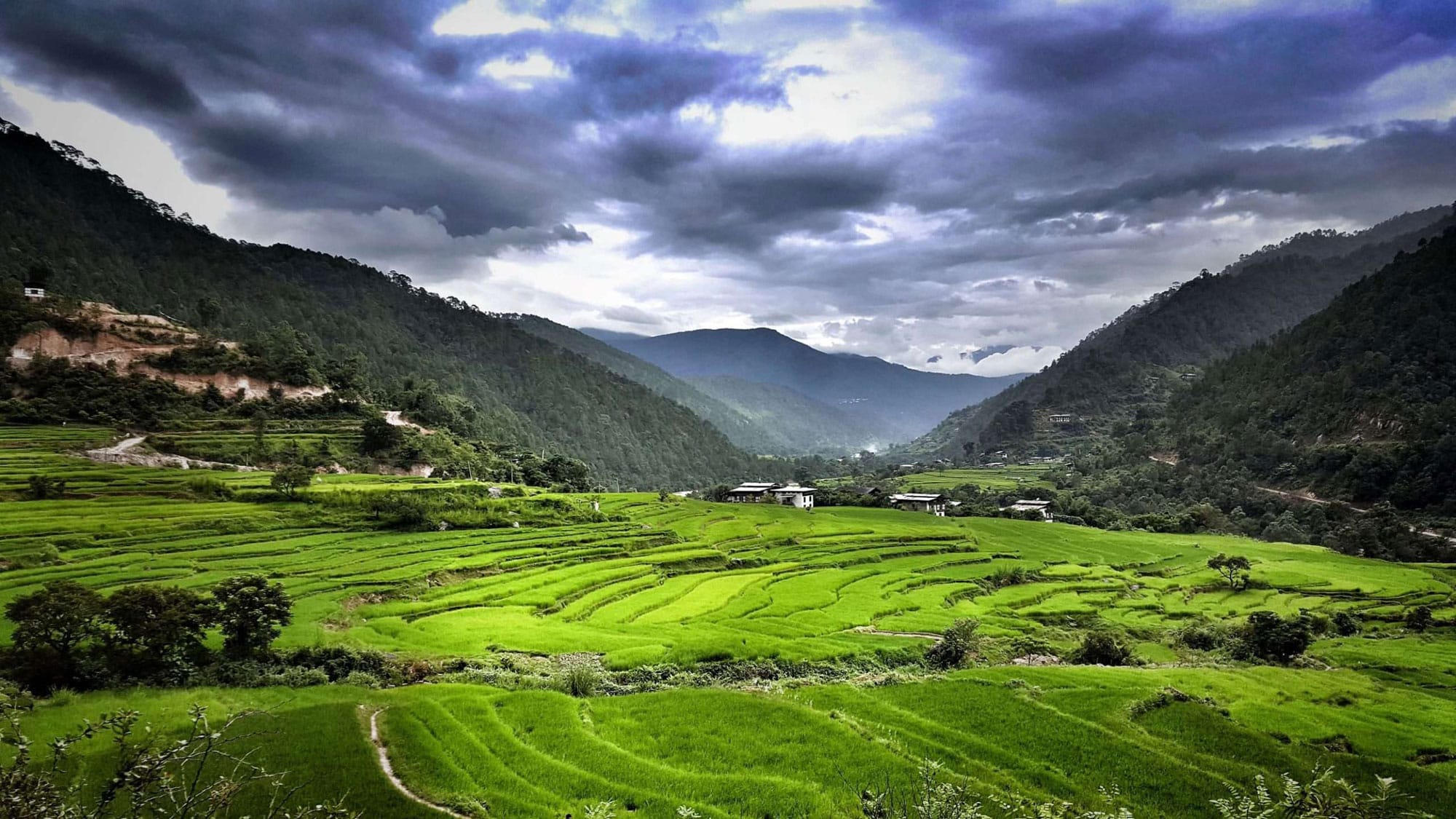 Bhutan-Spirit-Sanctuary-X