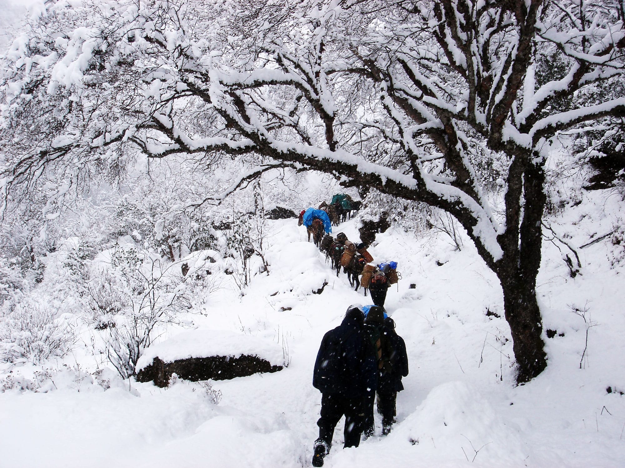 Jumolhari-trek-Nov-2006-081