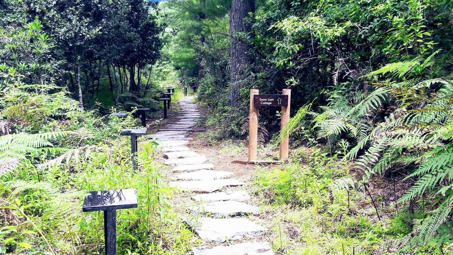 Walkway