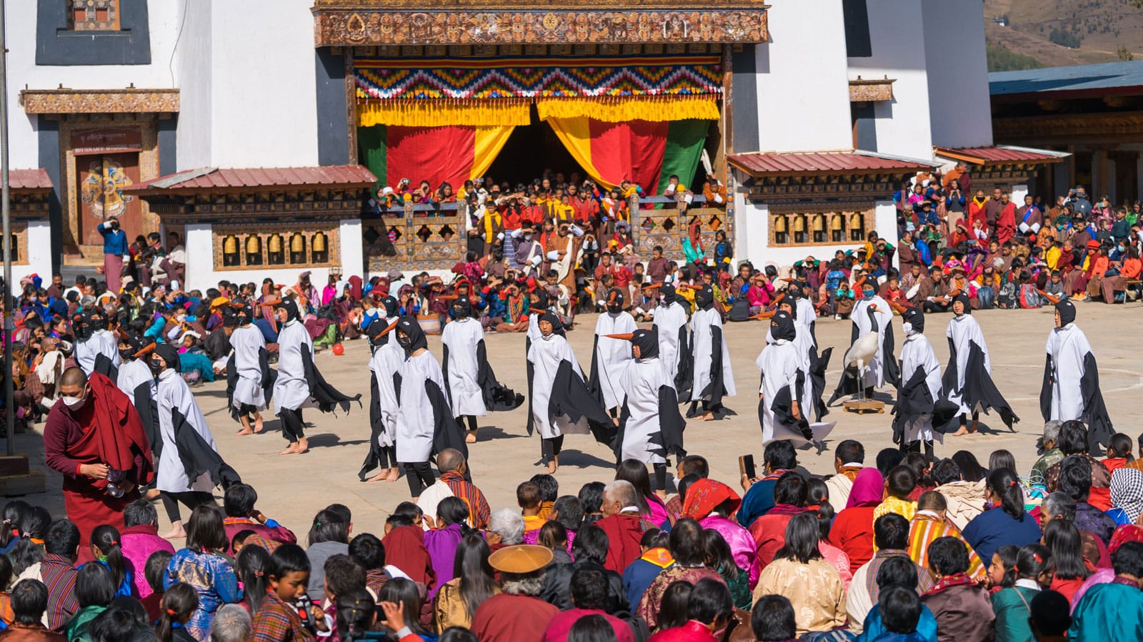 Black-Necked-Crane-Festival-2